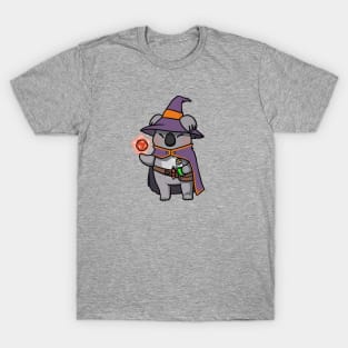 Koala sorcerer mage T-Shirt